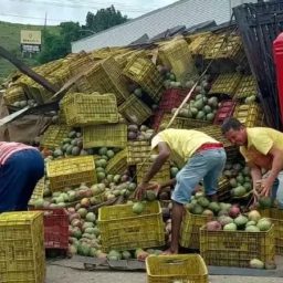 Laje: Caminhão carregado de mangas tomba no entroncamento de Laje e tem carga saqueada