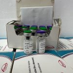 Estado e municípios trabalham para que vacinas contra dengue sejam todas utilizadas