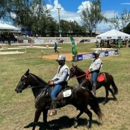 ExpoBahia deve movimentar mais de R$ 4 milhões em negócio