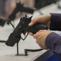 Projeto que libera estados legislarem sobre armas avança na Câmara