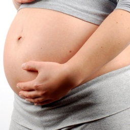 INSS alerta para tentativa de fraudes na liberação do salário-maternidade