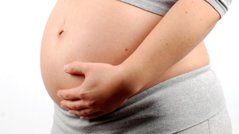 INSS alerta para tentativa de fraudes na liberação do salário-maternidade