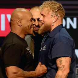 Lenda do MMA sugere cancelamento definitivo de duelo entre Mike Tyson e Jake Paul