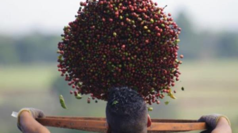 Brasil faz acordo com China que pode aumentar exportação de café