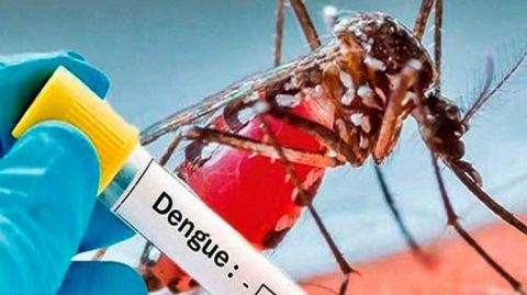 Bahia registra mais de 100 mortes por dengue em 2024; cerca de 47 cidades baianas estão em epidemia