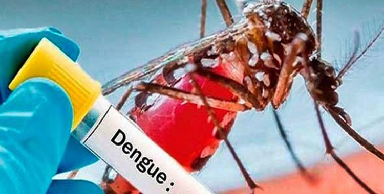 Seis cidades da Bahia estão em epidemia de dengue, confirma Sesab