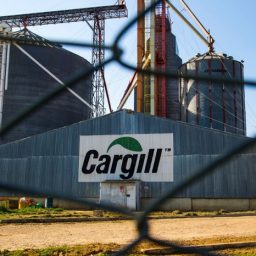 Cargill lança desafio nacional para aumentar a produtividade do cacau no Brasil