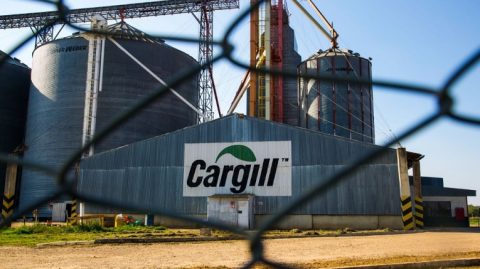 Cargill lança desafio nacional para aumentar a produtividade do cacau no Brasil