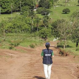 Bahia é o estado com maior população rural do país, aponta Censo