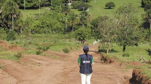 Bahia é o estado com maior população rural do país, aponta Censo