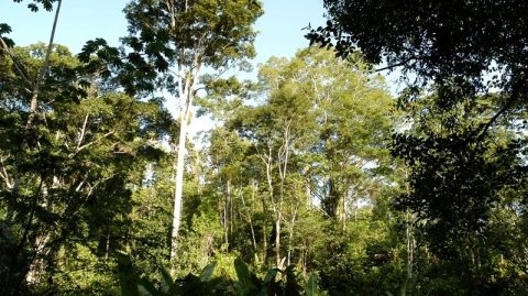 Criado assentamento no Litoral Sul da Bahia