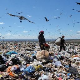 Em 2023, sete em cada dez municípios baianos ainda tinham lixões