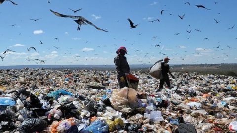 Em 2023, sete em cada dez municípios baianos ainda tinham lixões