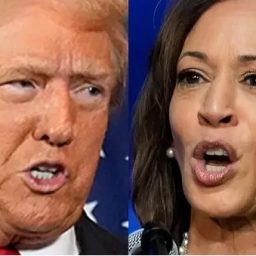 Trump vence em 20 estados, e Kamala vence em 9 estados, projeta AP