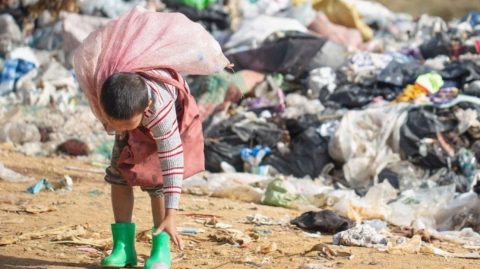 Pobreza no Brasil cai ao menor nível da história, segundo IBGE