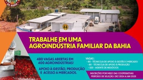 Agricultura familiar oferece 480 vagas de trabalho na Bahia