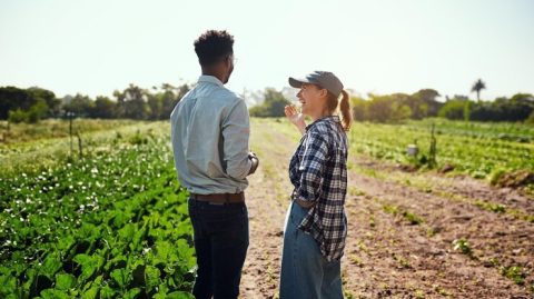 Inclusão digital mantém jovens no campo