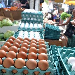 Preço do ovo salta 40% no atacado e associação acende alerta