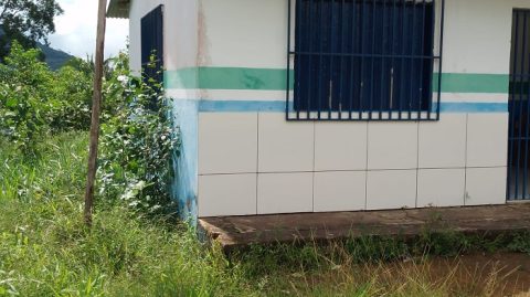 Pais demonstram preocupação com mato alto ao lado de escola em Piraí do Norte