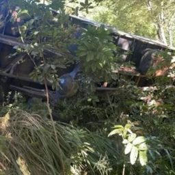 Caminhão de peixes que seguia para Piraí do Norte sofre acidente; motorista veio a óbito