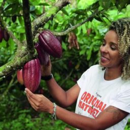 Mulheres ganham independência e papéis de liderança no cultivo de cacau na Bahia