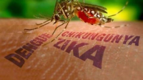 Bahia tem redução de mais 90% nos casos de dengue e Chikungunya