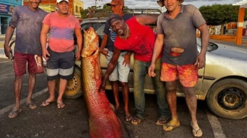Pescadores capturam pirarucu gigante de 92 kg e mais de dois metros na Bahia