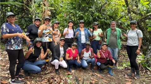 Prefeitura de Gandu conclui curso de clonagem de cacau para mulheres