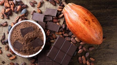 Projeto aprovado pelo Senado quer mais cacau no chocolate produzido no Brasil