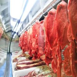 Venda de carne bovina do Brasil aos EUA dispara 500% em abril em meio a tarifaço de Trump