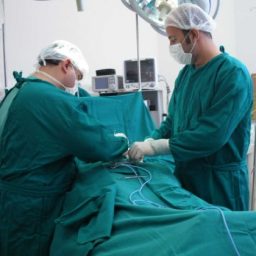 Brasil realiza mais de 30 mil transplantes em 2024, diz Ministério da Saúde