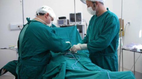 Brasil realiza mais de 30 mil transplantes em 2024, diz Ministério da Saúde