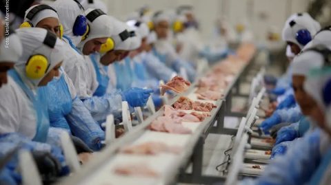 Indústria brasileira cria mais de 910 mil empregos em quatro anos, aponta IBGE