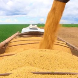 PIB da Bahia cresce 3,2% no 1º trimestre de 2025 e supera média nacional; agropecuária e indústria se destacam