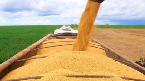 PIB da Bahia cresce 3,2% no 1º trimestre de 2025 e supera média nacional; agropecuária e indústria se destacam