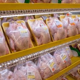 Preço da carne de frango caiu 7% após caso de gripe aviária em granja comercial