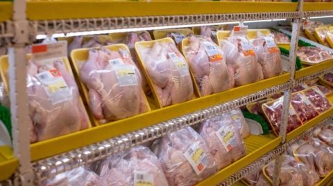 Preço da carne de frango caiu 7% após caso de gripe aviária em granja comercial