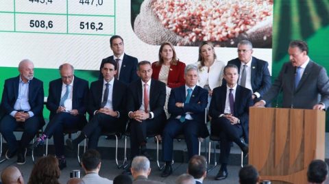 Banco do Nordeste destinará R$ 11,7 bilhões à agricultura empresarial no Plano Safra 2025/2026