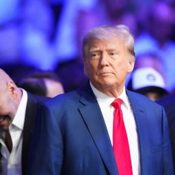 Donald Trump revela projeto para realizar evento do UFC na Casa Branca em 2026; entenda