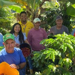 Festival do Chocolate terá programação especial para a agricultura familiar