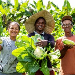Governo lança Plano Safra 2025/2026 com foco em crédito e agroindústrias