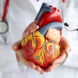 Brasil registra cerca de 180 mil casos de trombose por ano