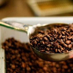 China abre mercado para 183 empresas brasileiras de café enquanto Trump impõe tarifa de 50%