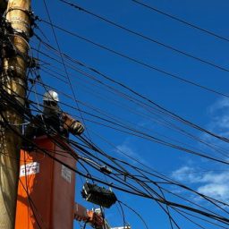 Operação Gatonet da Coelba chega a Ituberá e outros municípios baianos na próxima semana