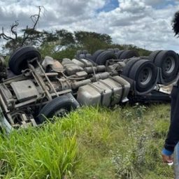 Carreta carregada de mármore tomba após ataque de abelhas na BR-242