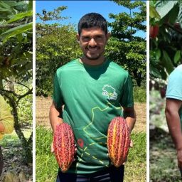 Três produtores brasileiros concorrem em concurso de melhor cacau do mundo
