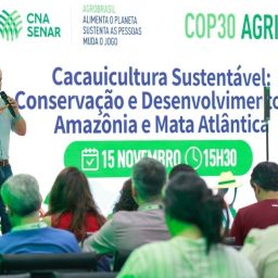 COP 30: Pavilhão AgroBrasil promove debates sobre Frutas e Cacau