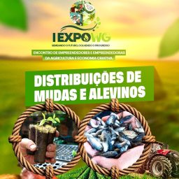 Prefeitura realiza Feira da Agricultura em Wenceslau Guimarães