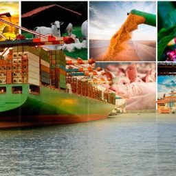 Exportação do agro do Brasil cresce 6,2% em novembro e bate recorde no ano