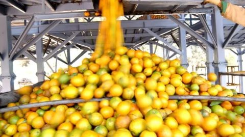 Bahia segue entre os dez maiores produtores brasileiros de grãos em 2026